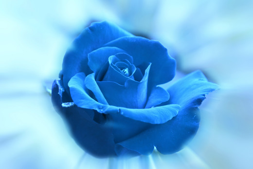707794 (a): :2972x1981